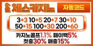 체스카지노-자동코드