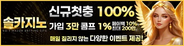 카지노사이트-솔카지노-배너-파칭코사이트인포